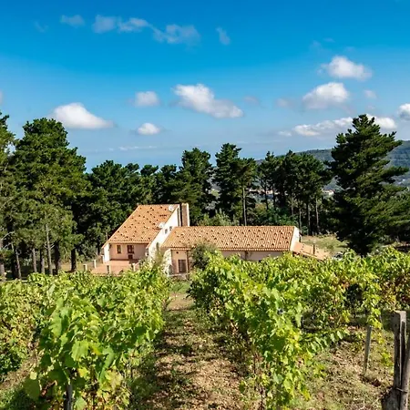 La Collina Dei Nebrodi *
